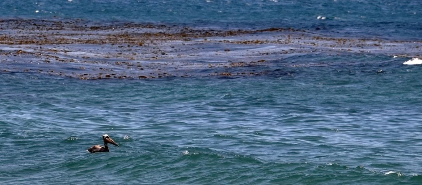 ΗΠΑ: Πετρελαιοκηλίδα 34 τετραγωνικών χιλιομέτρων στις ακτές της Καλιφόρνιας (βίντεο)